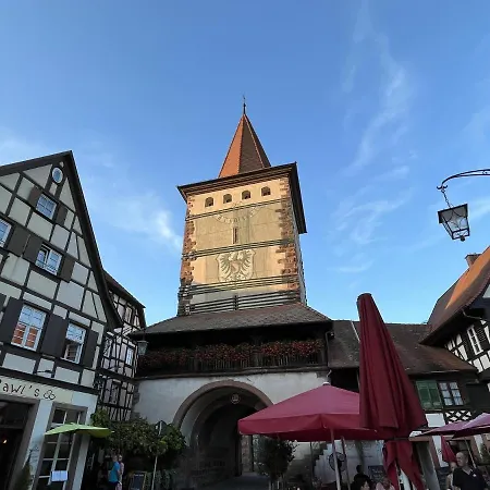 Coucou - Nest Im Schwarzwald