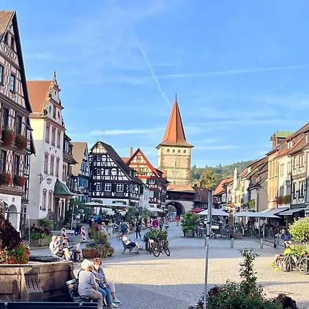 Coucou - Nest Im Schwarzwald * Gengenbach