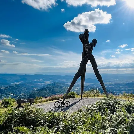 Coucou - Nest Im Schwarzwald Διαμέρισμα