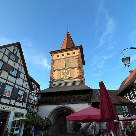 Coucou - Nest Im Schwarzwald Apartment *