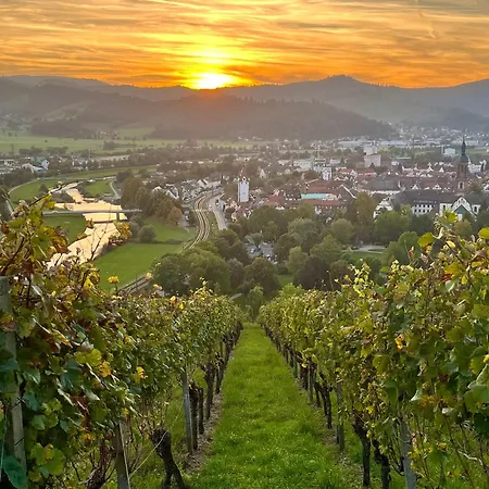 Coucou - Nest Im Schwarzwald Apartman *