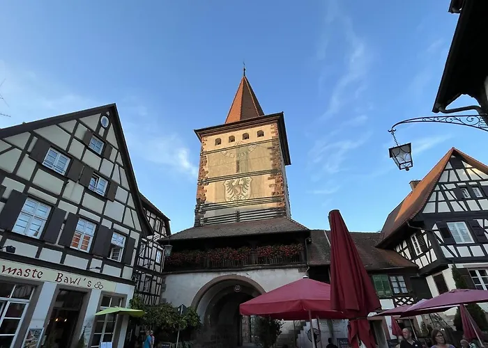 Coucou - Nest Im Schwarzwald