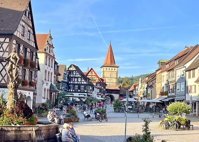 Coucou - Nest Im Schwarzwald * Gengenbach