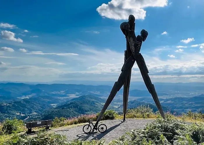 Coucou - Nest Im Schwarzwald Apartman
